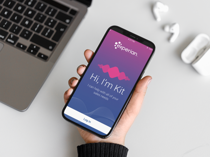 experian-mobile-app-design